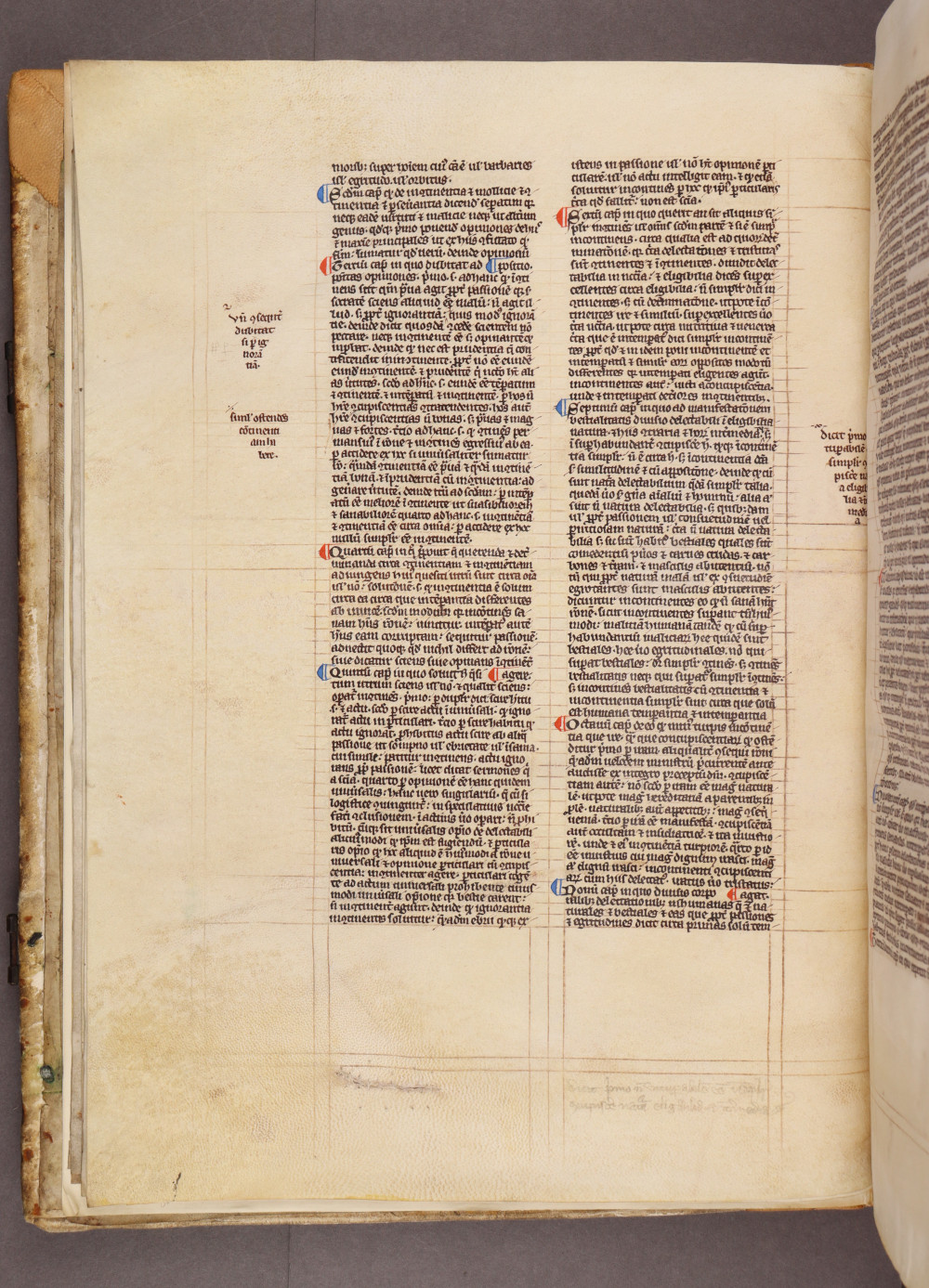 Folio 5 verso